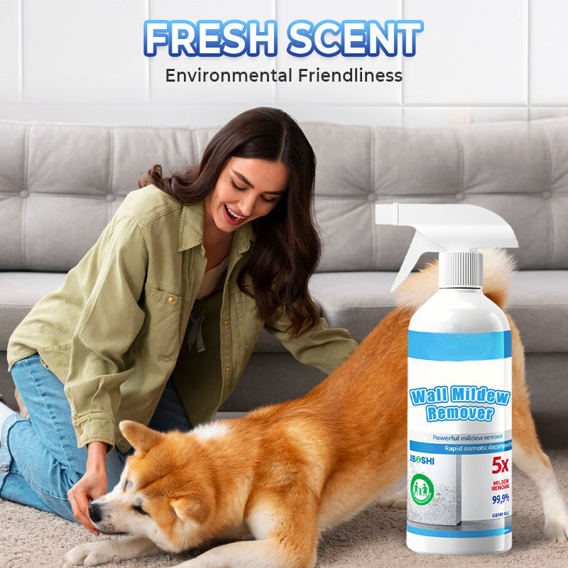 Penészgátló tisztítóhab spray