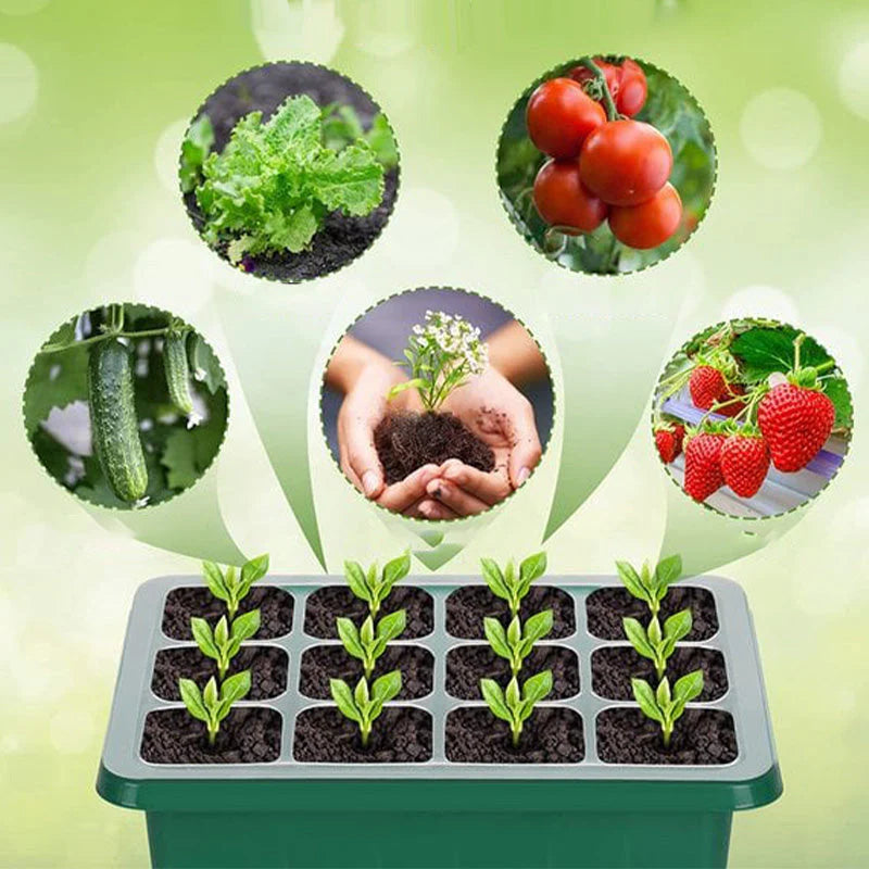 🌱 Palántatálca beépített termesztőlámpával