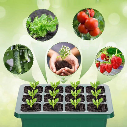 🌱 Palántatálca beépített termesztőlámpával