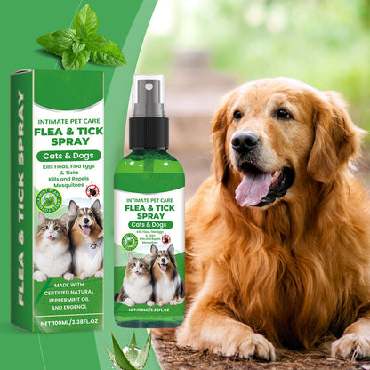 🍃Természetes bolha- és kullancsirtó spray kutyáknak és macskáknak🐾 Tartsa kedvencét kártevőmentesen