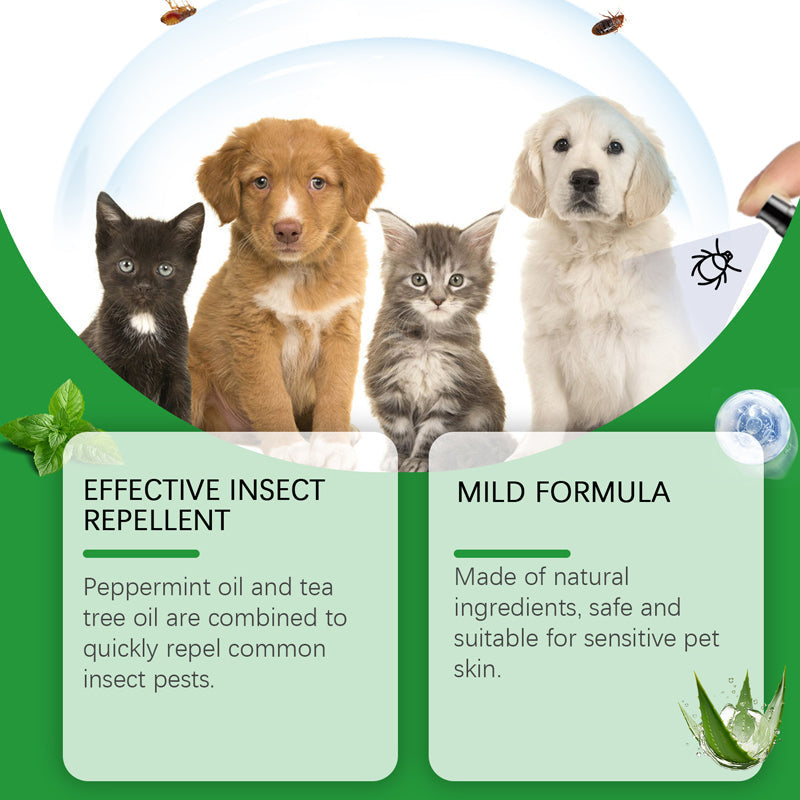 🍃Természetes bolha- és kullancsirtó spray kutyáknak és macskáknak🐾 Tartsa kedvencét kártevőmentesen