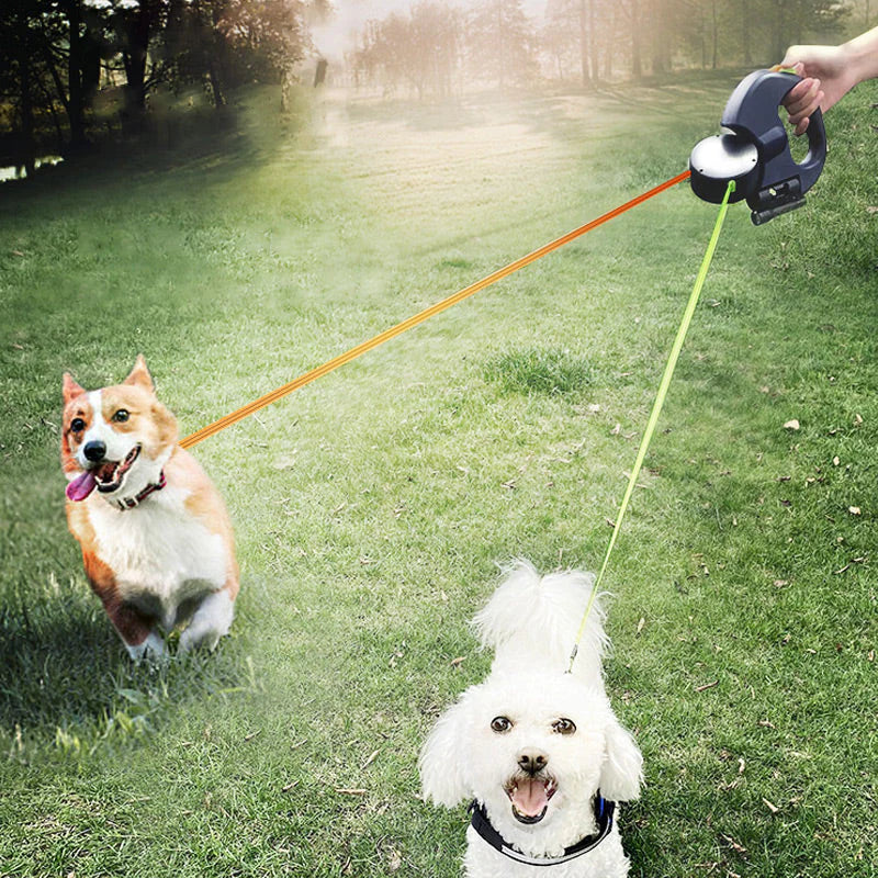 🐶Kettős funkciójú, multifunkciós kutyasétáltató