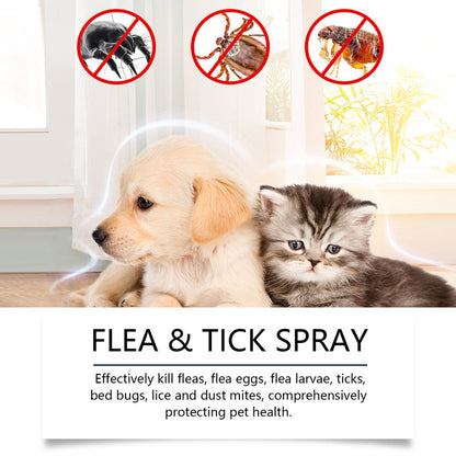 🍃Természetes bolha- és kullancsirtó spray kutyáknak és macskáknak🐾 Tartsa kedvencét kártevőmentesen