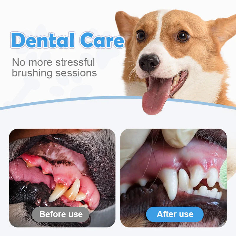 1+1 gratis🐱Sredstvo za uklanjanje zubnog kamenca za pse i mačke✨🦷