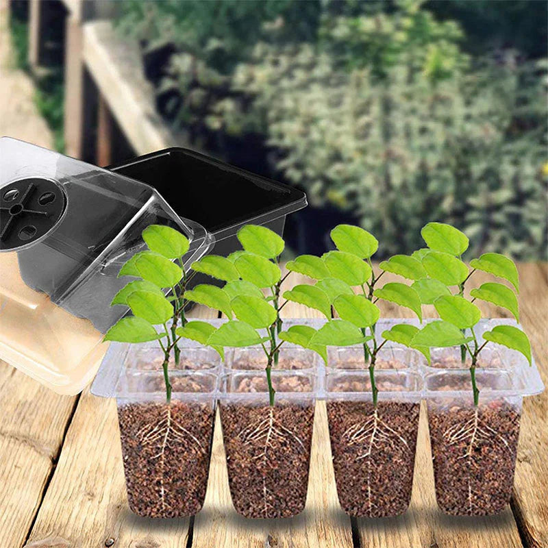 🌱 Palántatálca beépített termesztőlámpával