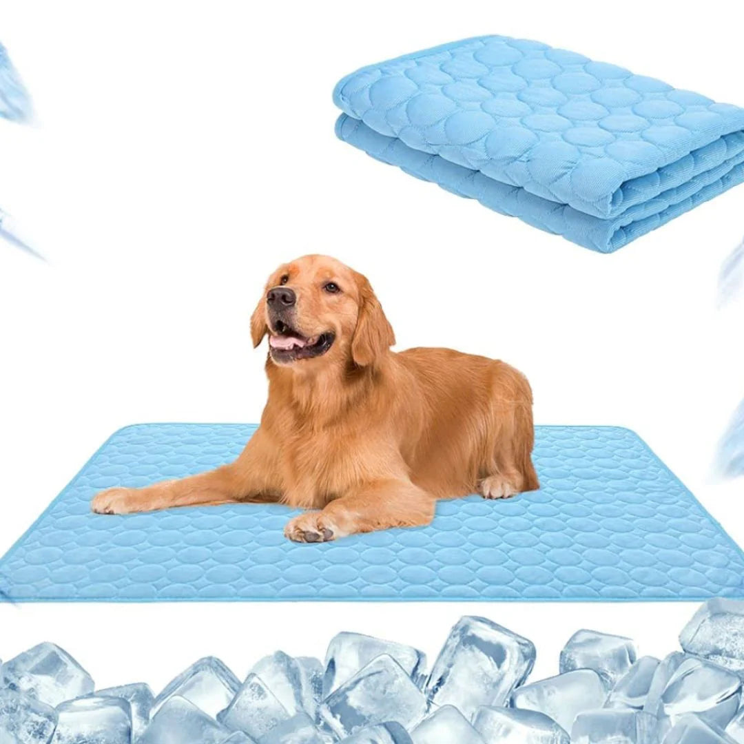 🐱🐶Emalova – Hűsítő matrac a nyári hónapokra