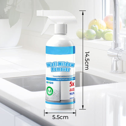 Penészgátló tisztítóhab spray