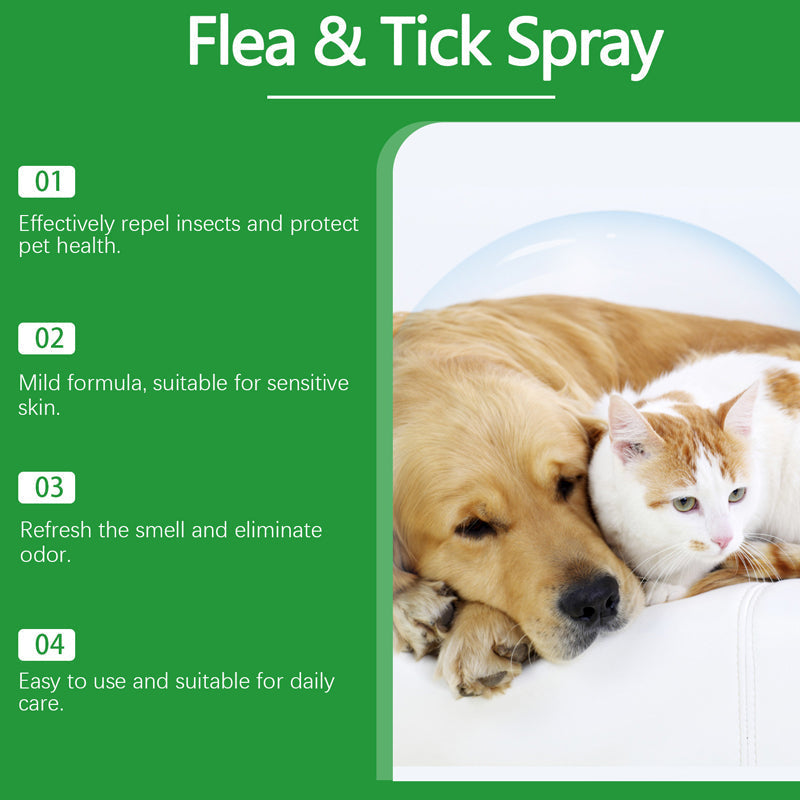 🍃Természetes bolha- és kullancsirtó spray kutyáknak és macskáknak🐾 Tartsa kedvencét kártevőmentesen