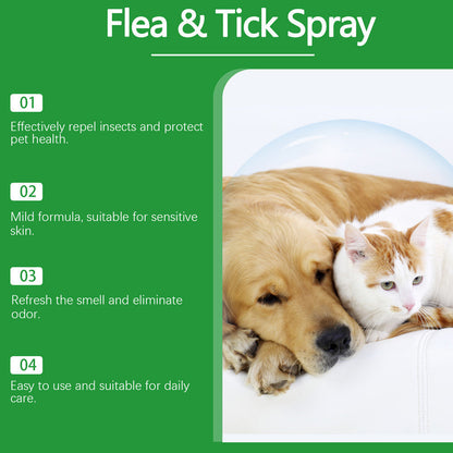 🍃Természetes bolha- és kullancsirtó spray kutyáknak és macskáknak🐾 Tartsa kedvencét kártevőmentesen