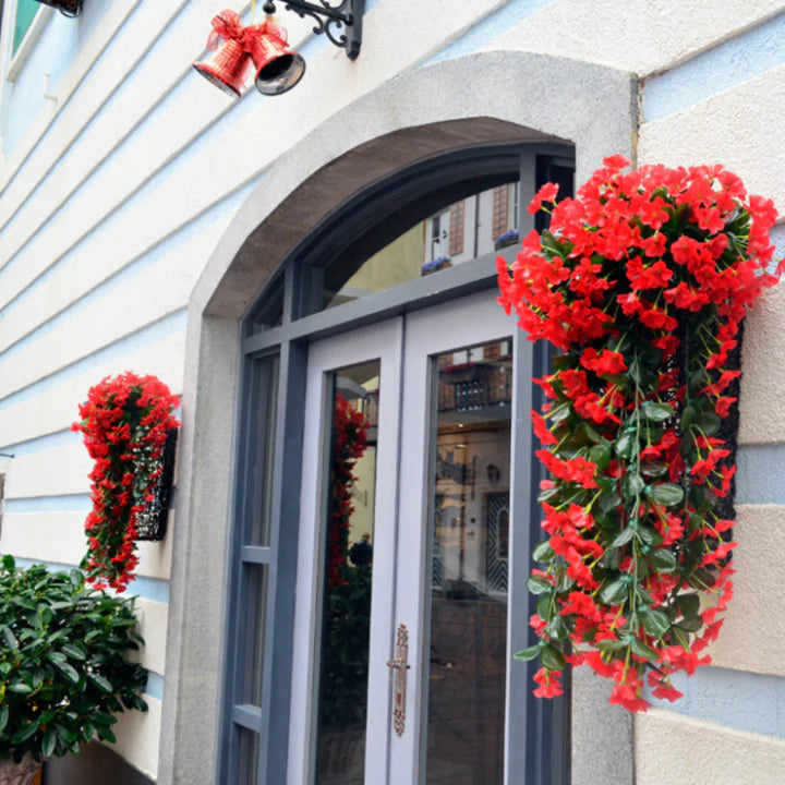 A legjobb ajándék - egy gyönyörű élő, függő orchideacsokor
