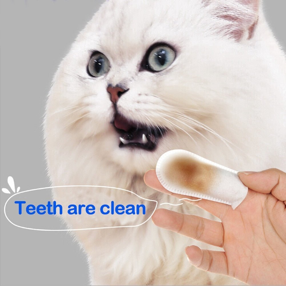 Kisállat fogak makula baktériumok tisztító ujjtörlőkendők