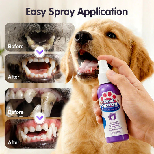 Kisállat fogtisztító spray