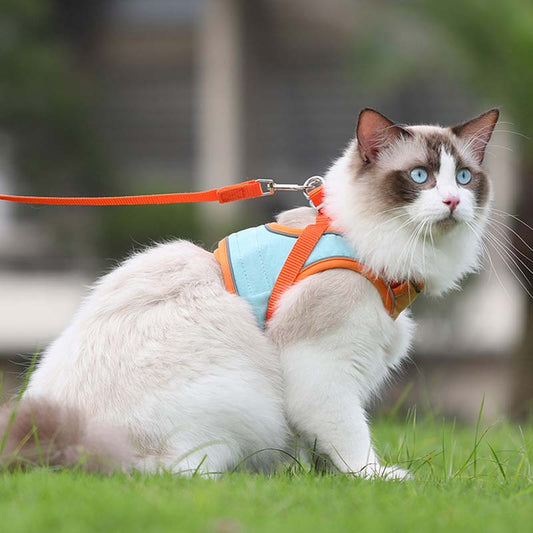 🐱Fényvisszaverő szökésgátló hám és póráz macskáknak✨