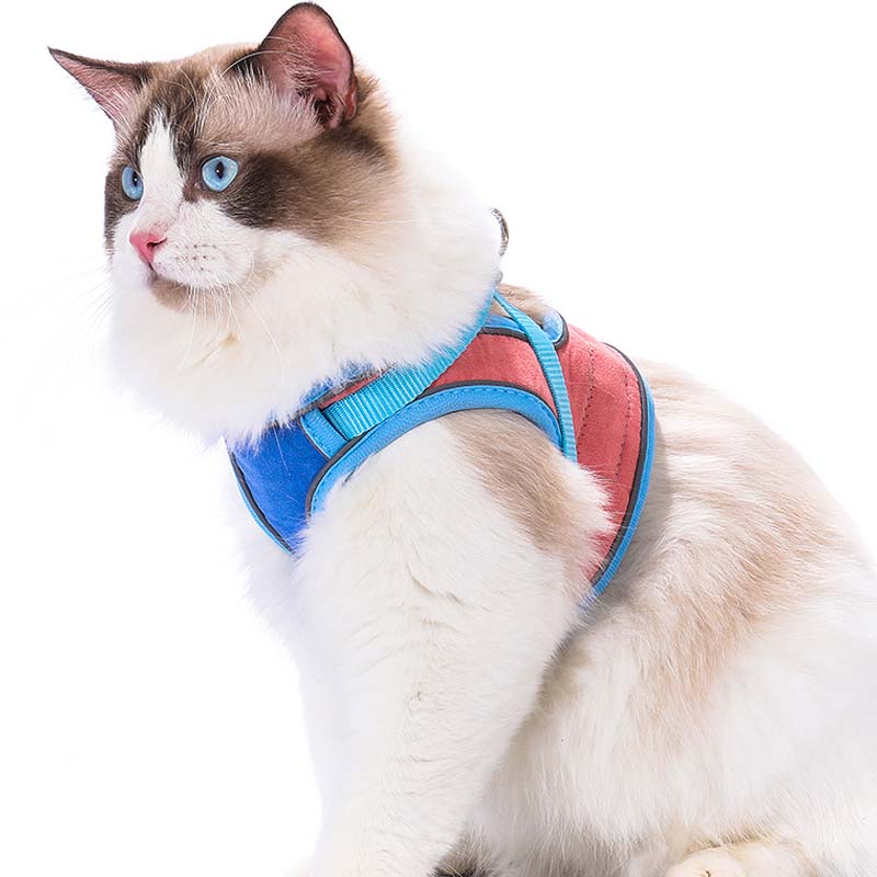 🐱Fényvisszaverő szökésgátló hám és póráz macskáknak✨
