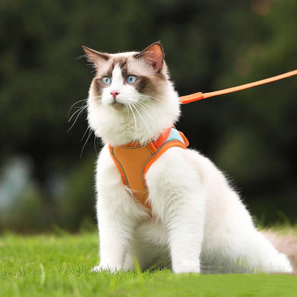 🐱Fényvisszaverő szökésgátló hám és póráz macskáknak✨