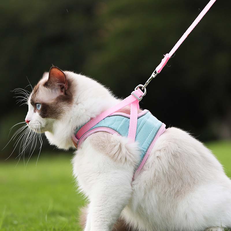 🐱Fényvisszaverő szökésgátló hám és póráz macskáknak✨