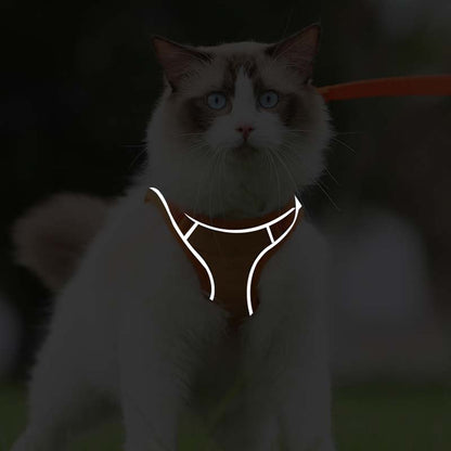 🐱Fényvisszaverő szökésgátló hám és póráz macskáknak✨