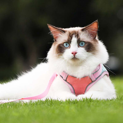 🐱Fényvisszaverő szökésgátló hám és póráz macskáknak✨
